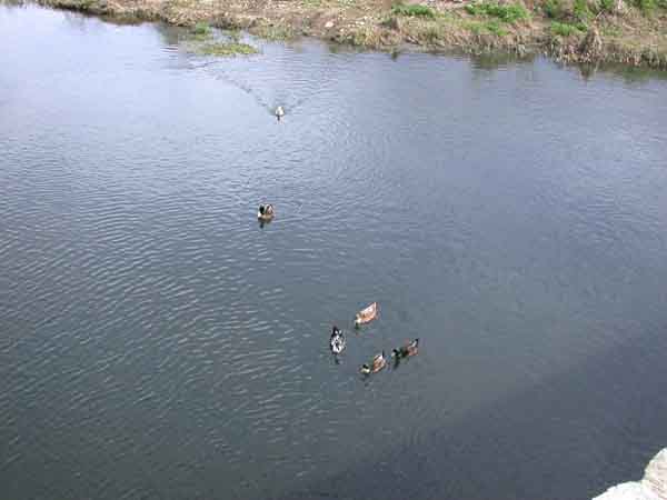 Habr� que vijilarlo