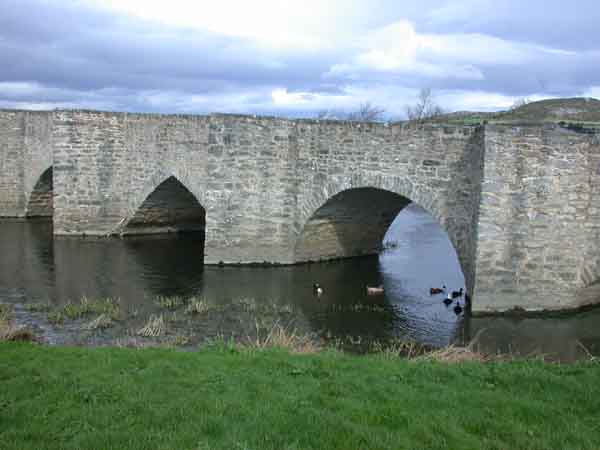 El agua, cada d�a mas clara