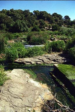 El Zadorra desde G&aacute;rabo